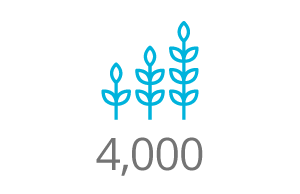 4000hectares 4,000 hectares