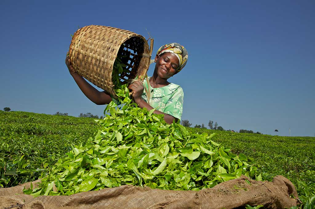 Wood Foundation, Making Markets Work for the Poor