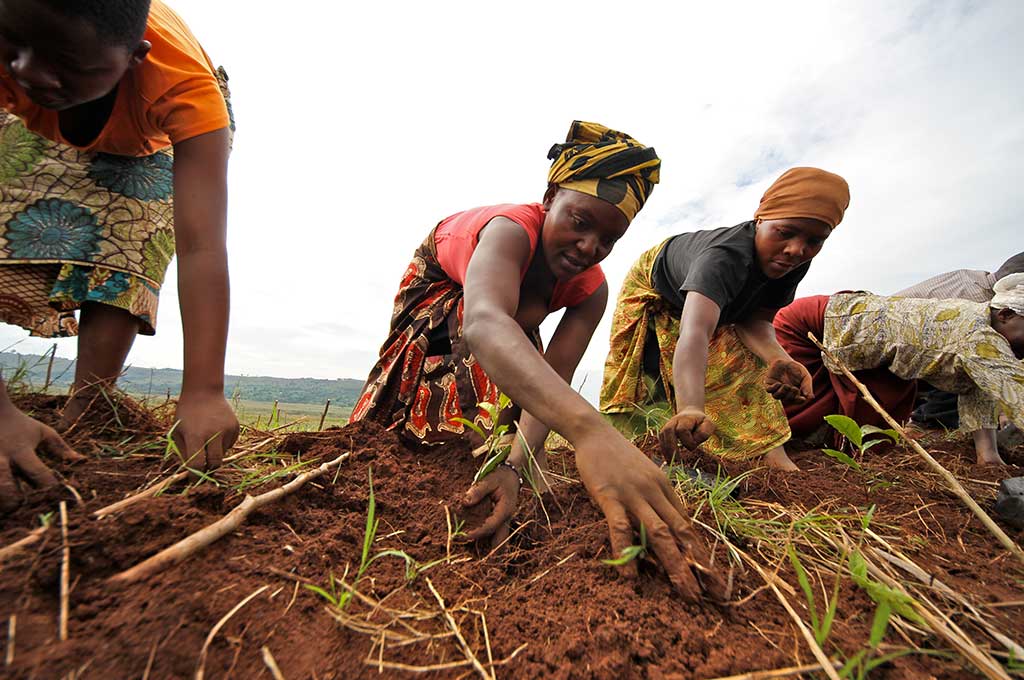 Wood Foundation, Making Markets Work for the Poor