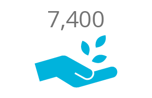 smallholder_7400 6,000 farmers